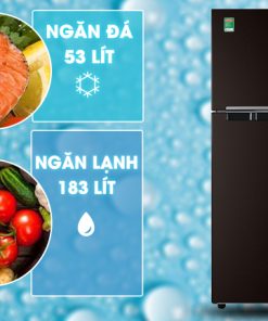Tủ lạnh Samsung Inverter 236 lít RT22M4032BY/SV - 34 Tủ lạnh Samsung Inverter 236 lít RT22M4032BY/SV - 33