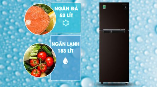 Tủ lạnh Samsung Inverter 236 lít RT22M4032BY/SV - 13