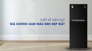 Tủ lạnh Samsung Inverter 208 lít RT20HAR8DBU - 33