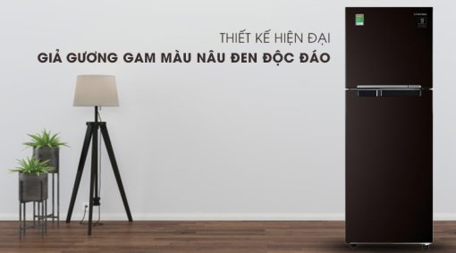 Tủ lạnh Samsung Inverter 236 lít RT22M4032BY/SV - 15