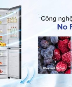 Tủ lạnh Samsung Inverter 339 lít RB33T307029/SV - 25