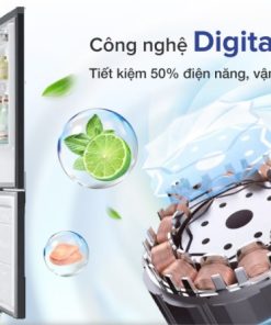 Tủ Lạnh Samsung Inverter 339 Lít RB33T307055/SV - 36 Tủ Lạnh Samsung Inverter 339 Lít RB33T307055/SV - 35