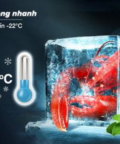 Tủ Lạnh Sharp Inverter 362 Lít SJ-FX420V-SL - 22 Tủ Lạnh Sharp Inverter 362 Lít SJ-FX420V-SL - 21