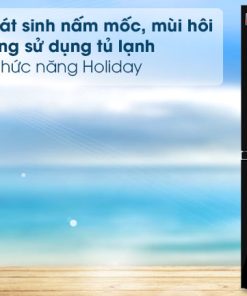 Tủ lạnh Sharp Inverter 401 lít SJ-FXP480VG-BK - 27