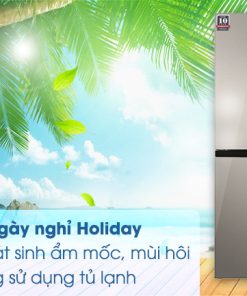 Tủ lạnh Sharp Inverter 401 lít SJ-FXP480VG-CH - 44 Tủ lạnh Sharp Inverter 401 lít SJ-FXP480VG-CH - 43