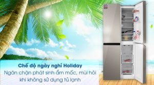 Tủ lạnh Sharp Inverter 401 lít SJ-FXP480VG-CH - 43