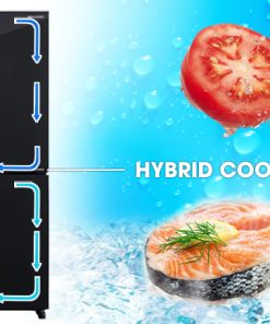 Tủ lạnh Sharp Inverter 572 lít SJ-FXP640VG-BK - 48 Tủ lạnh Sharp Inverter 572 lít SJ-FXP640VG-BK - 47