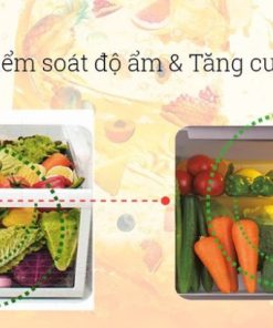 Tủ Lạnh Mitsubishi Inverter 506 Lít MR-WX52D-F-V - 33