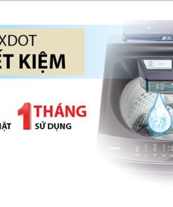 Máy giặt Toshiba Inverter 10 kg AW-DUM1100JV(SG) - 43