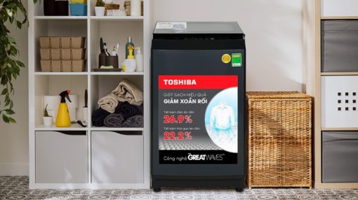 Máy giặt Toshiba 9 kg AW-M1000FV(MK) - 17