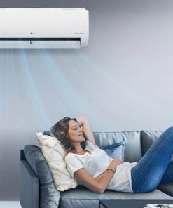 Máy lạnh LG Inverter 1.5 HP V13WIN - 37