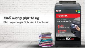 Máy Giặt Toshiba Inverter 12 Kg AW-DUM1300KV(MG) - 33