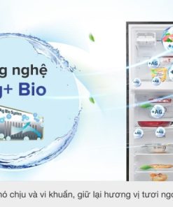 Tủ lạnh Toshiba Inverter 249 lít GR-RT325WE-PMV(06)-MG - 38 Tủ lạnh Toshiba Inverter 249 lít GR-RT325WE-PMV(06)-MG - 37