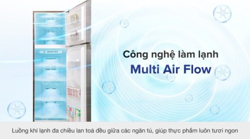 Tủ lạnh Toshiba Inverter 249 lít GR-RT325WE-PMV(06)-MG - 15