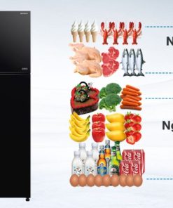 Tủ Lạnh Hitachi Inverter 390 Lít R-FVY510PGV0-GBK - 24 Tủ Lạnh Hitachi Inverter 390 Lít R-FVY510PGV0-GBK - 23