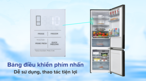 Tủ lạnh Panasonic Inverter 325 lít NR-BC361VGMV - 9