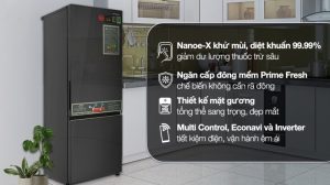 Tủ lạnh Panasonic Inverter 325 lít NR-BC361VGMV - 23