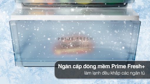 Tủ lạnh Panasonic Inverter 325 lít NR-BV361WGKV - 9