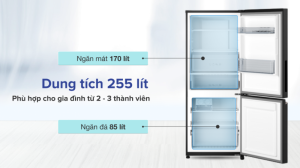 Tủ lạnh Panasonic Inverter 255 lít NR-BV281BGMV - 23