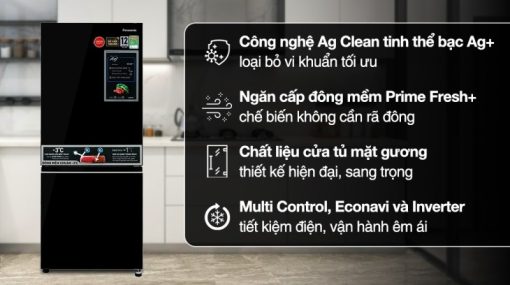 Tủ lạnh Panasonic Inverter 255 lít NR-BV281BGMV - 5