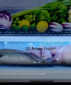 Tủ lạnh Panasonic Inverter 306 lít NR-TV341VGMV - 36 Tủ lạnh Panasonic Inverter 306 lít NR-TV341VGMV - 35