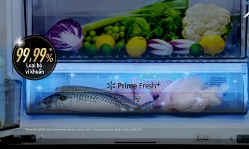 Tủ lạnh Panasonic Inverter 306 lít NR-TV341VGMV - 13
