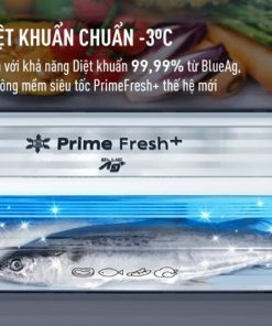 Tủ lạnh Panasonic Inverter 255 lít NR-BV281BGMV - 34 Tủ lạnh Panasonic Inverter 255 lít NR-BV281BGMV - 33