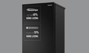 Tủ lạnh Panasonic Inverter 255 lít NR-BV281BGMV - 27