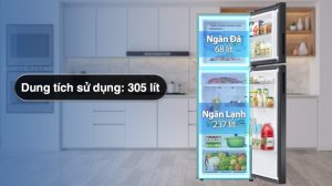Tủ Lạnh Samsung Inverter 305 Lít RT31CB56248ASV - 35