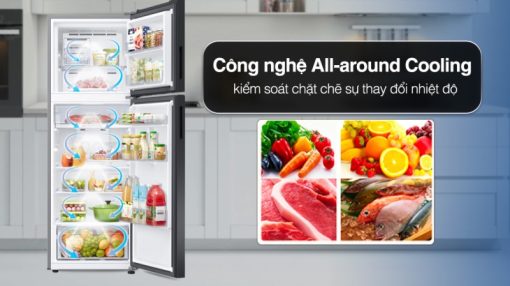 Tủ Lạnh Samsung Inverter 305 Lít RT31CB56248ASV - 9