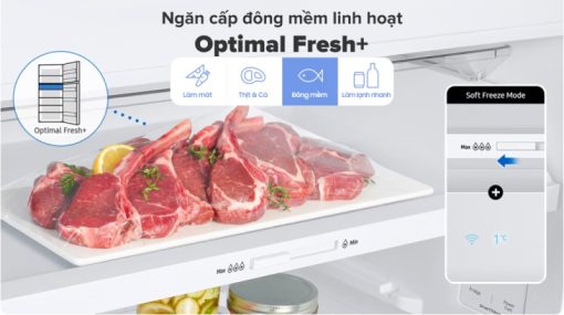 Tủ Lạnh Samsung Inverter 305 Lít RT31CB56248ASV - 11