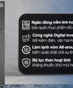 Tủ lạnh Samsung Inverter 305 lít RT31CG5424B1SV - 25
