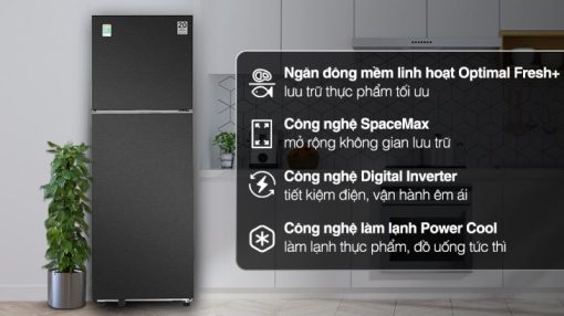Tủ lạnh Samsung Inverter 348 lít RT35CG5424B1SV - 5