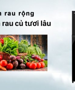 Tủ lạnh Toshiba Inverter 233 lít GR-A28VM(UKG1) - 26 Tủ lạnh Toshiba Inverter 233 lít GR-A28VM(UKG1) - 25