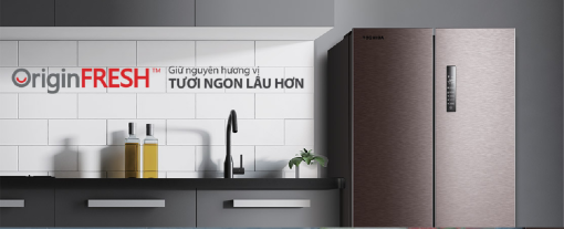 Tủ Lạnh Toshiba Inverter 511 Lít GR-RF610WE-PMV(37)-SG - 23