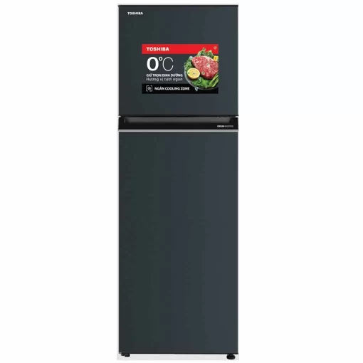Tủ lạnh Toshiba Inverter 253 lít GR-RT329WE-PMV(52) - 1