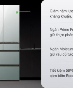 Tủ Lạnh Panasonic Inverter 491 Lít NR-F503GT-X2 - 35
