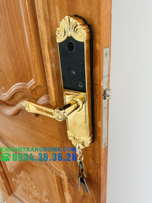 Khóa cửa vân tay DEMAX SL280 BRASS 24K tiêu chuẩn Đức - 5