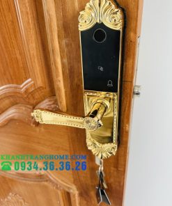 Khóa cửa vân tay DEMAX SL280 BRASS 24K tiêu chuẩn Đức - 76 Khóa cửa vân tay DEMAX SL280 BRASS 24K tiêu chuẩn Đức - 75