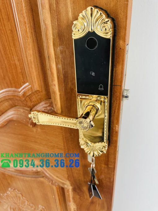 Khóa cửa vân tay DEMAX SL280 BRASS 24K tiêu chuẩn Đức - 9