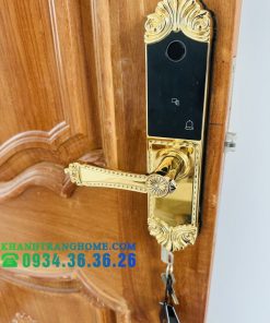 Khóa cửa vân tay DEMAX SL280 BRASS 24K tiêu chuẩn Đức - 80 Khóa cửa vân tay DEMAX SL280 BRASS 24K tiêu chuẩn Đức - 79