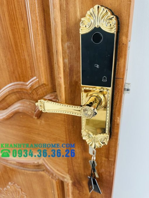Khóa cửa vân tay DEMAX SL280 BRASS 24K tiêu chuẩn Đức - 13
