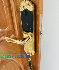 Khóa cửa vân tay DEMAX SL280 BRASS 24K tiêu chuẩn Đức - 82 Khóa cửa vân tay DEMAX SL280 BRASS 24K tiêu chuẩn Đức - 81