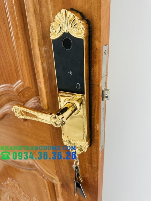 Khóa cửa vân tay DEMAX SL280 BRASS 24K tiêu chuẩn Đức - 15