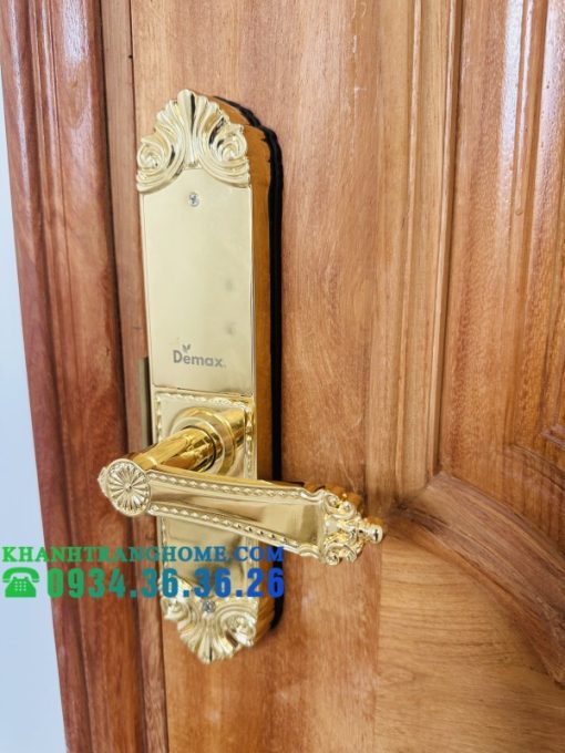 Khóa cửa vân tay DEMAX SL280 BRASS 24K tiêu chuẩn Đức - 21