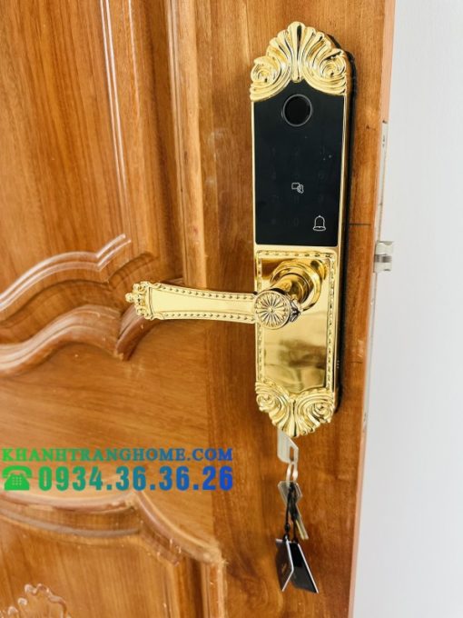Khóa cửa vân tay DEMAX SL280 BRASS 24K tiêu chuẩn Đức - 27