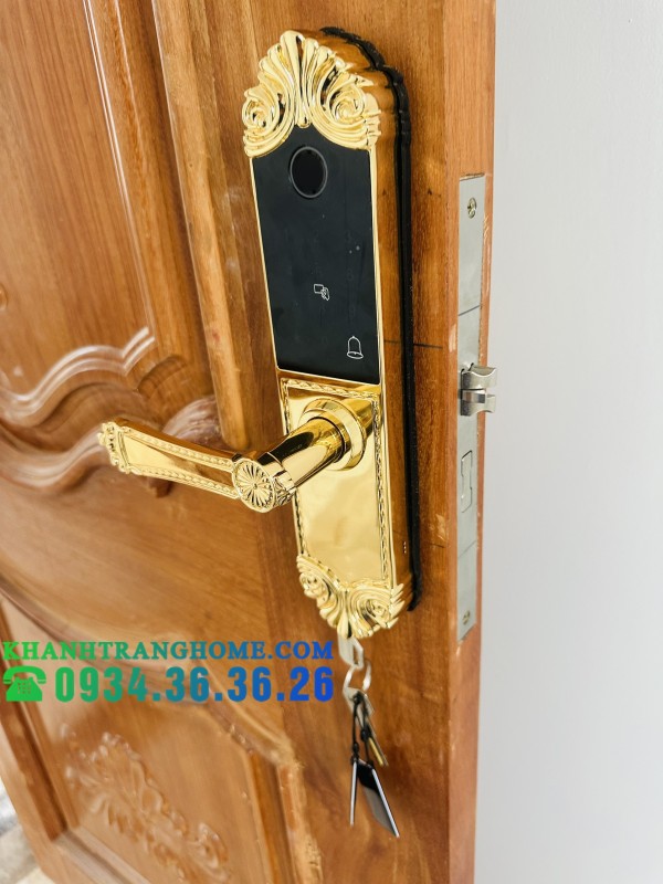 KHÓA CỬA VÂN TAY DEMAX SL280 BRASS 24K - 26