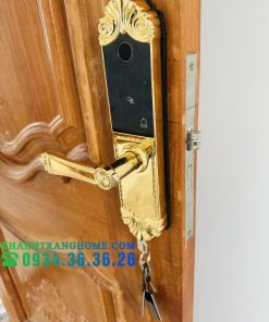 Khóa cửa vân tay DEMAX SL280 BRASS 24K tiêu chuẩn Đức - 96 Khóa cửa vân tay DEMAX SL280 BRASS 24K tiêu chuẩn Đức - 95