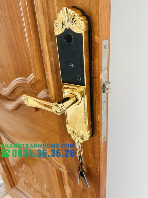 Khóa cửa vân tay DEMAX SL280 BRASS 24K tiêu chuẩn Đức - 29