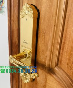 Khóa cửa vân tay DEMAX SL280 BRASS 24K tiêu chuẩn Đức - 98 Khóa cửa vân tay DEMAX SL280 BRASS 24K tiêu chuẩn Đức - 97